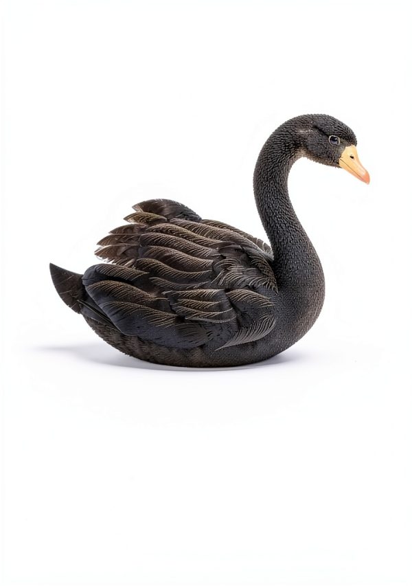 Incerto Series Financial Risk Management Portuguese eBook-0