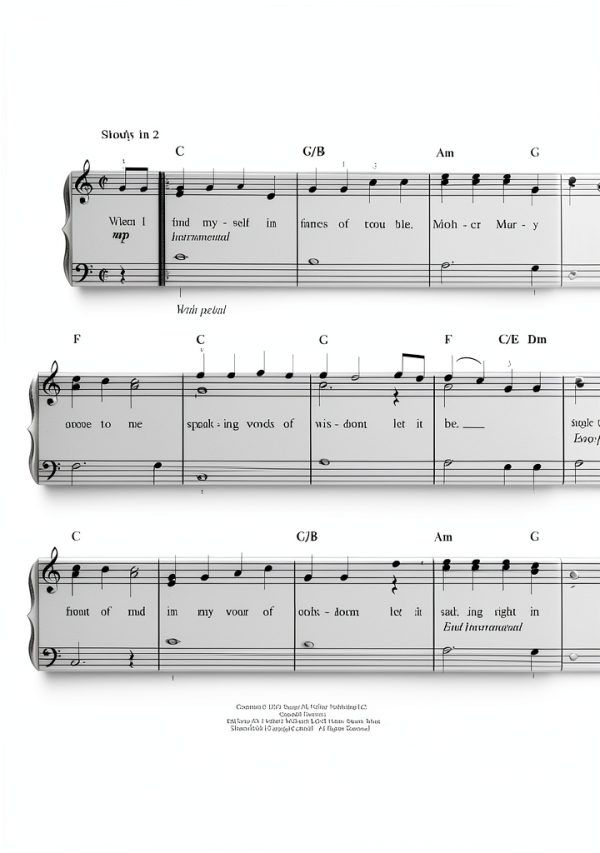Hal Leonard Piano Voice Guitar Songbook Digital Music Book-3